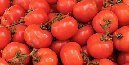tomaten